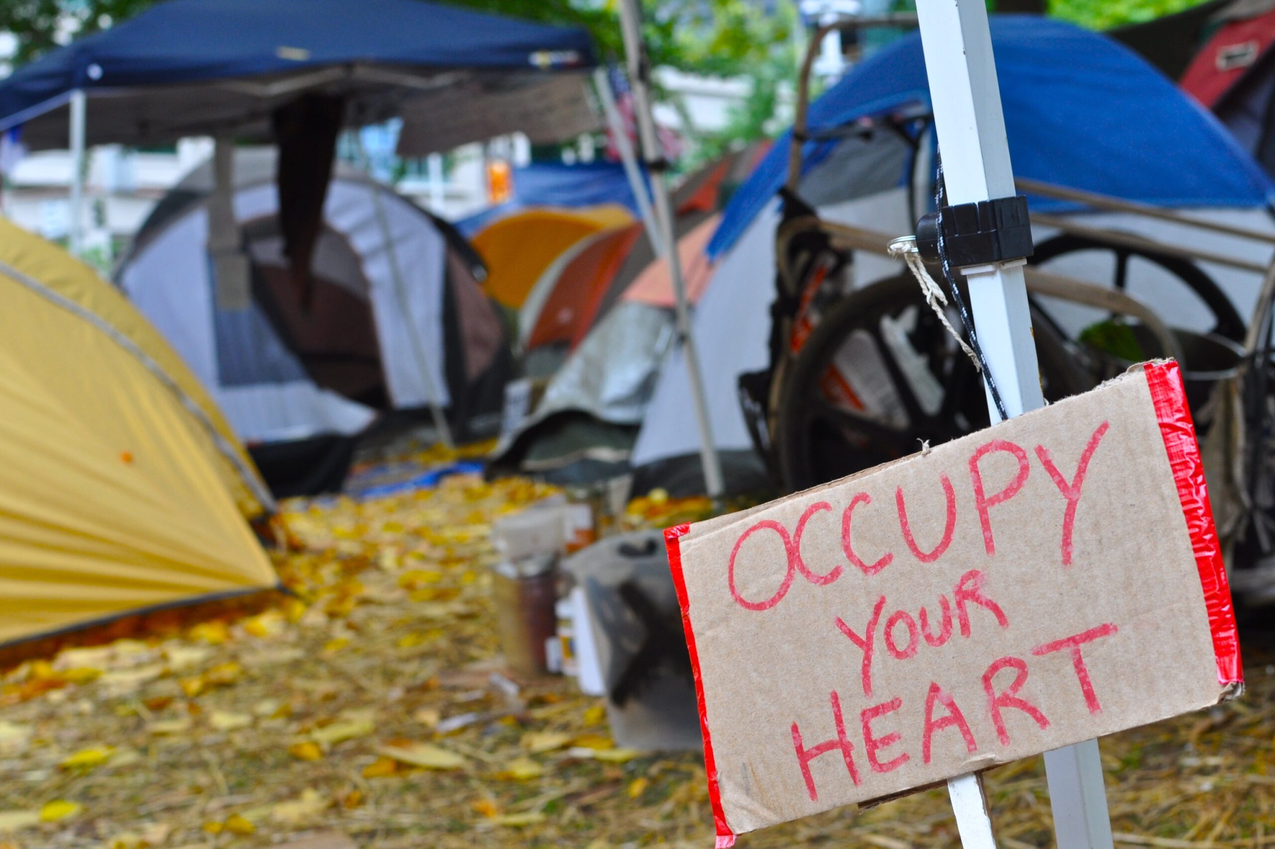 Occupy Your Heart, Mind, & the Ballot Box!
