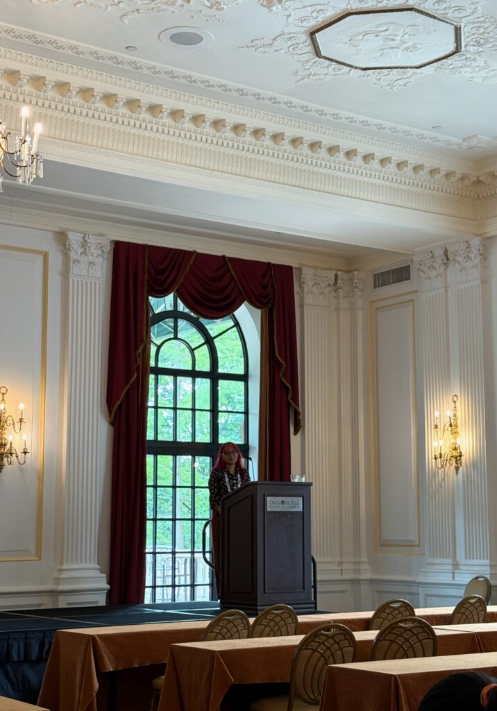 A speaker presents at a podium in a formal room with red curtains and tall windows during a Summit session.