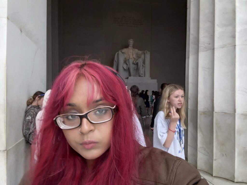 A person with bright pink hair stands in front of the Lincoln Memorial, partially turned toward the camera. Abraham Lincoln’s statue is visible in the background, along with other visitors.